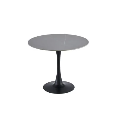 Dining table T-325 ice gray black